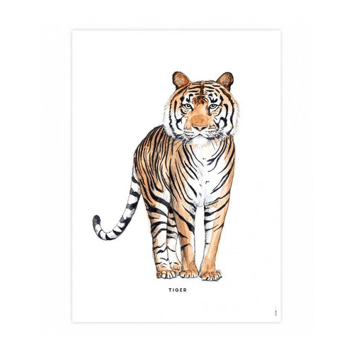 50 x 70 Poster Tiger Homeware Meesie & Bintje 