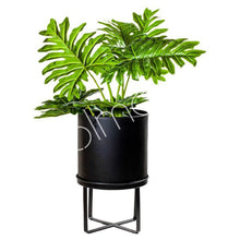 Load image into Gallery viewer, Planter on stand Metal black D22 H36 cm Homeware Diga Colmore 
