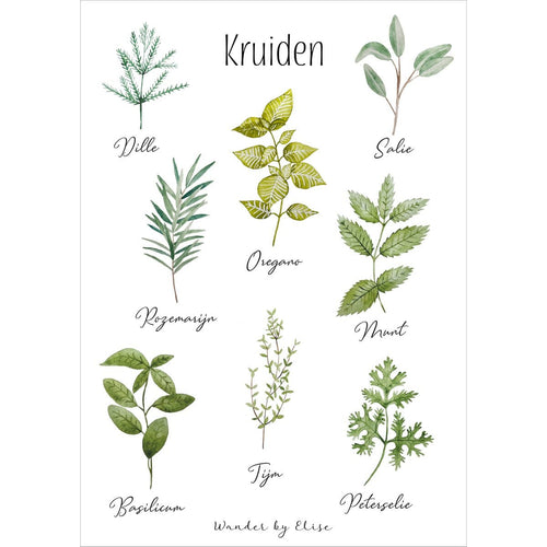 18 x 24 Wander by Elise - Poster Herbs Homeware Wander By Elise 