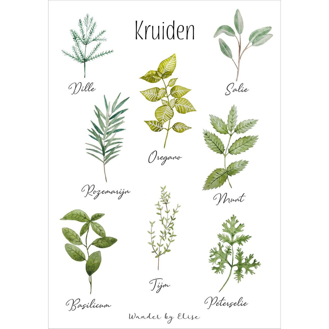 18 x 24 Wander by Elise - Poster Herbs Homeware Wander By Elise 