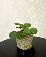 Lade das Bild in den Galerie-Viewer, Ceramic minipot Havana Ø6/7 H7cm Pots &amp; Co Floran 
