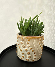 Lade das Bild in den Galerie-Viewer, Ceramic minipot Havana Ø6/7 H7cm Pots &amp; Co Floran 
