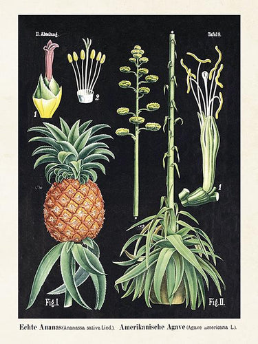 18 x 24 Sköna Ting - Poster Pineapple Homeware Sköna Ting 