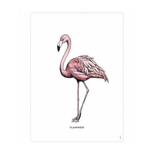 50 x 70 Poster Flamingo Homeware Meesie & Bintje 
