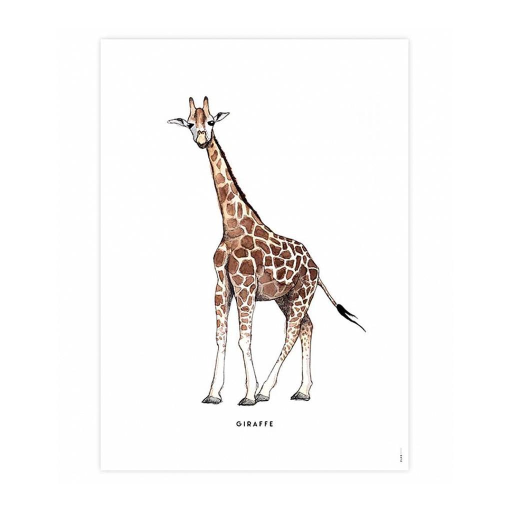 50 x 70 Poster Giraffe Homeware Meesie & Bintje 