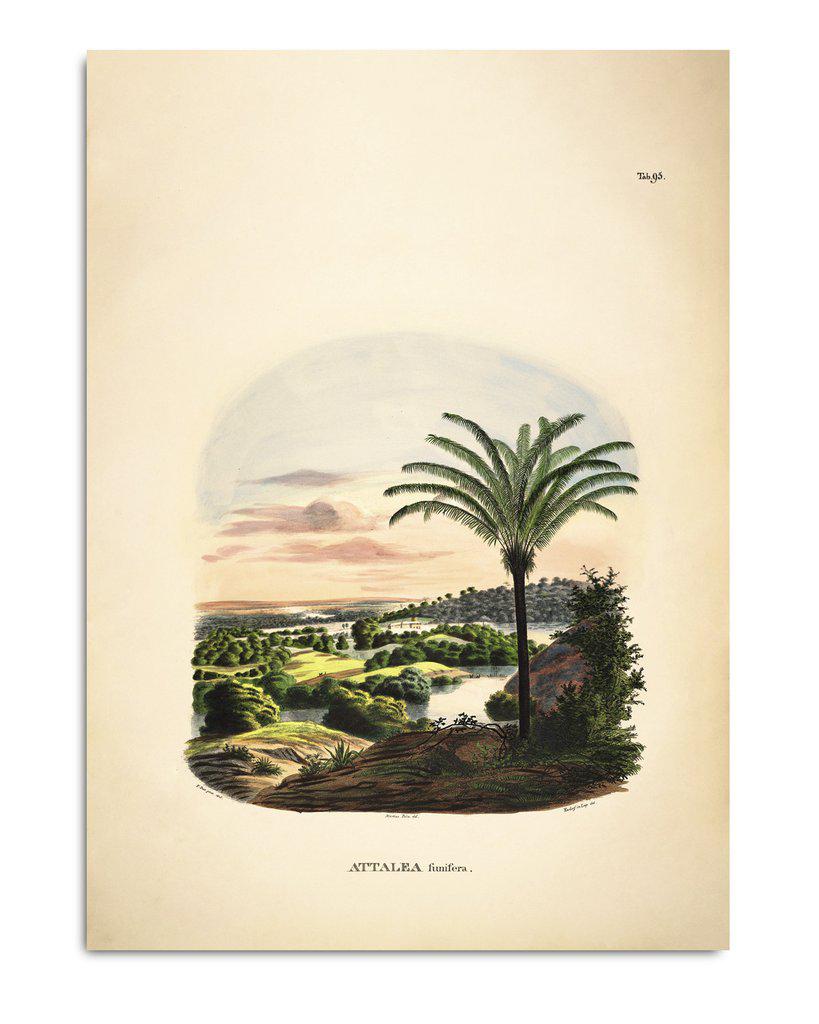Botanical Palm Print 50 x70 #3538 Homeware The Dybdahl 