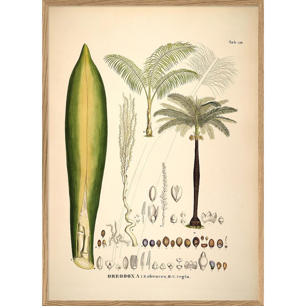 Botanical Palm Print 70 x 100 Homeware The Dybdahl 