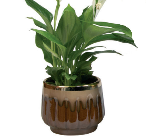 Ceramic Minipot L963 Brown Ø7 H7cm Almost Paradise Berlin 