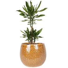 Lade das Bild in den Galerie-Viewer, Ceramic pot Mischa caramel Ø19 H16cm Pots &amp; Planters Ter Steege 
