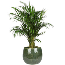 Load image into Gallery viewer, Ceramic pot Mischa forest Ø22 H18cm Pots &amp; Planters Ter Steege 
