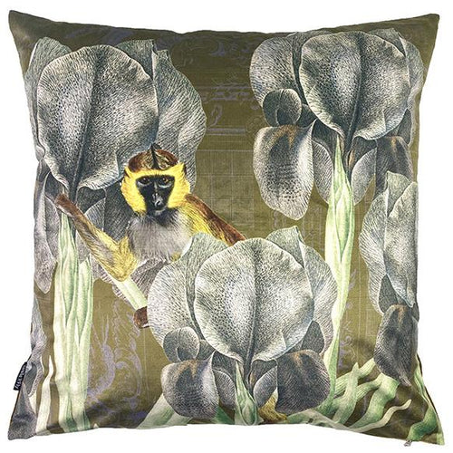 Cushion Cover Velvet Antique Ape 50x50 LA97 Textiles Vanilla Fly 