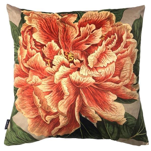 Cushion Cover Velvet Coral Peony 50x50 LA60 Textiles Vanilla Fly 