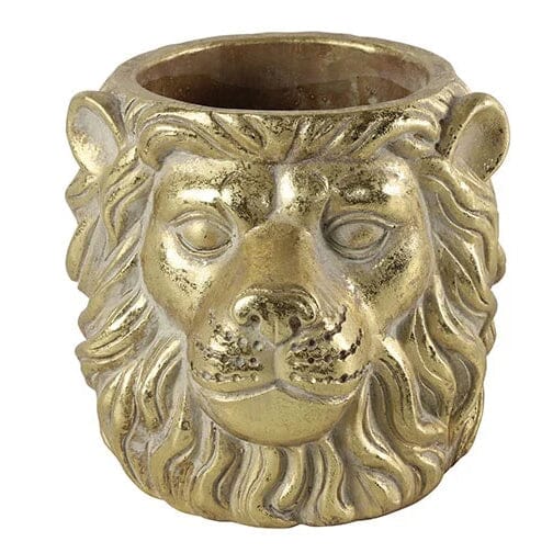 Flowerpot lion Dakota gold L16.5 B16.5 H14.5cm Decor Decostar 