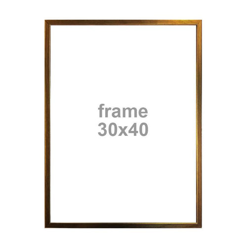 Frame 30 x 40cm Gold Homeware Vanilla Fly 