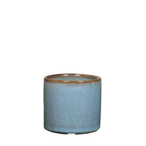 Minipot Cactus Cylinder Blue Ø7.2 H6.5cm Pots & Co Floran 
