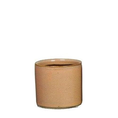 Minipot Cactus Cylinder Brown Ø7.2 H6.5cm Pots & Co Floran 