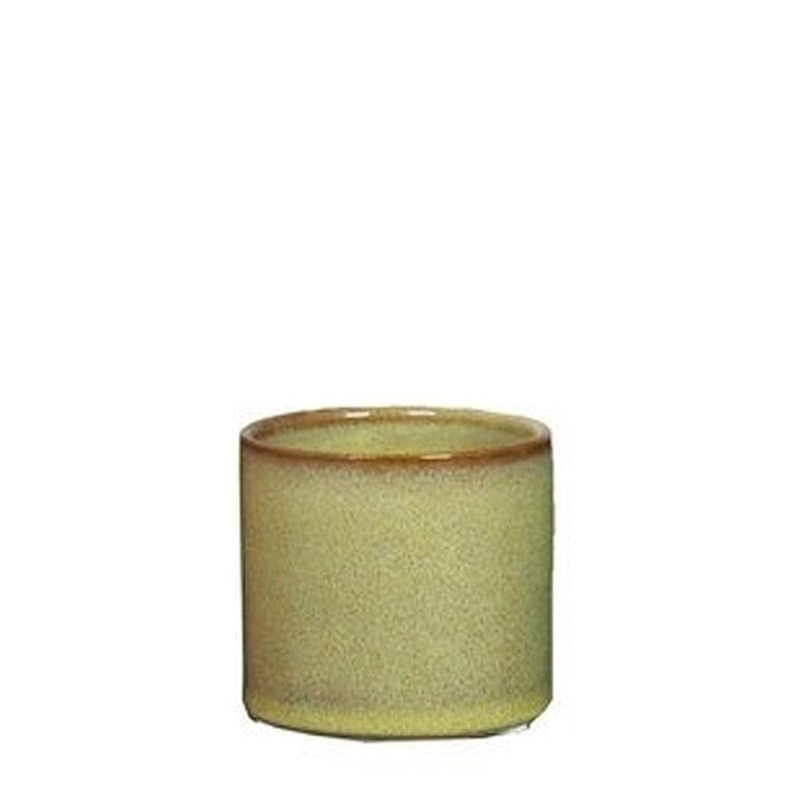 Minipot Cactus Cylinder Green Ø7.2 H6.5cm Pots & Co Floran 