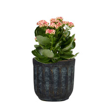 Load image into Gallery viewer, Minipot Duncan blue gold ⌀8/6 H7cm Pots &amp; Planters Ter Steege 
