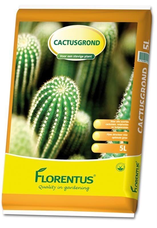 Potting soil, Cacti, 5L Pots & Co Florentus 