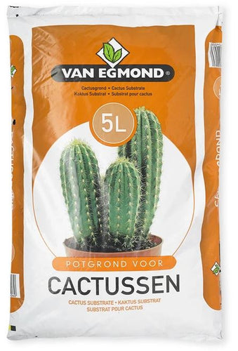Potting soil, Cacti, 5L Pots & Co Van Egmond 