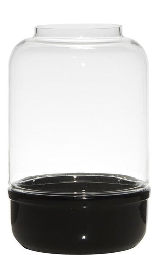Terrarium 