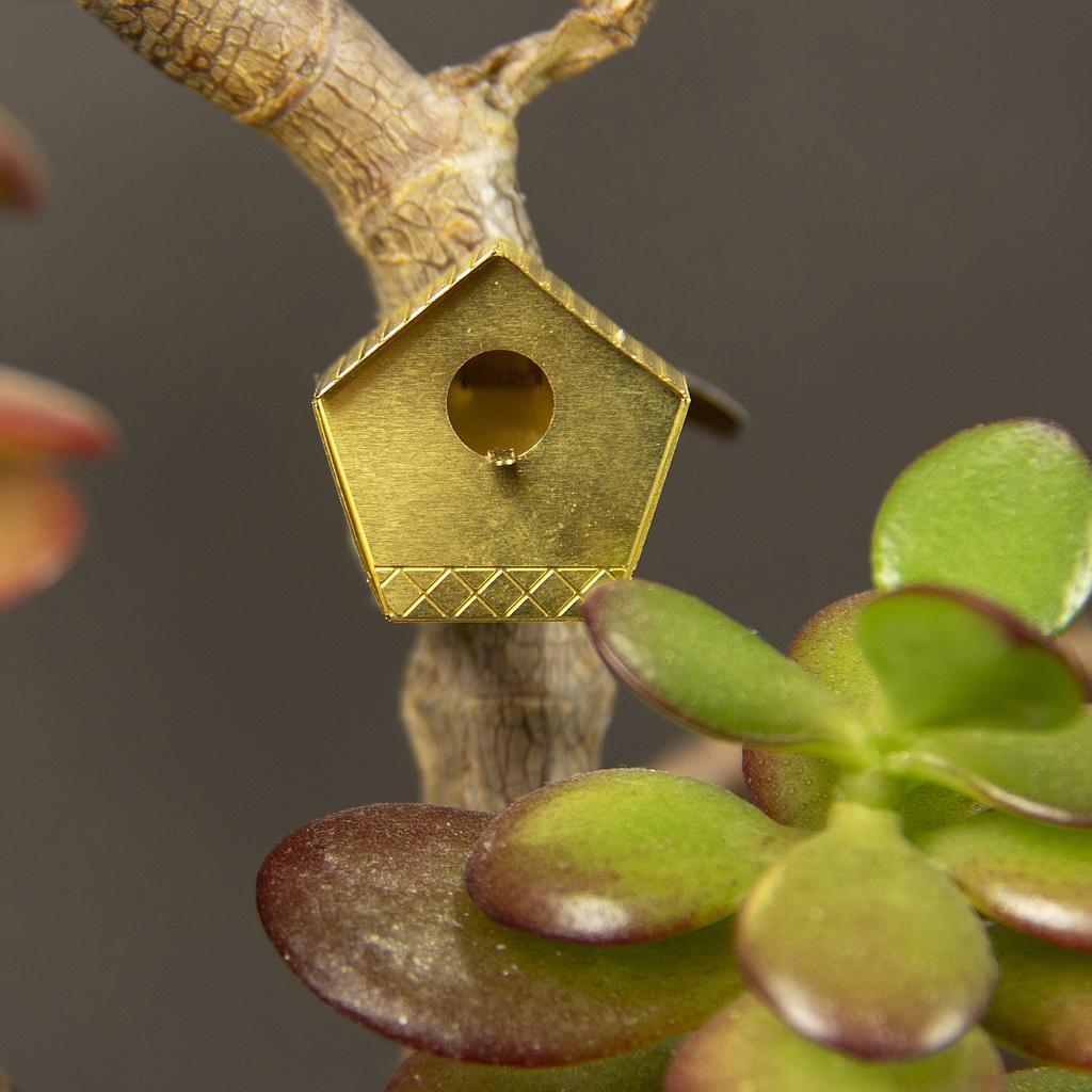 Tiny Bird House for your plants Pots & Co Botanopia 